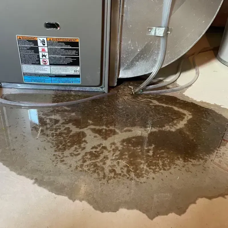 Appliance Leak Cleanup in Baxley, GA